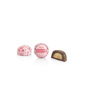Pralina Bacio di Dama 16g