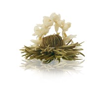 Teaflower Monte Bianco White Tea