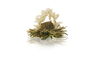 Fiore di Tè - Monte Bianco Tè bianco